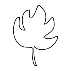 Obraz premium tropical leaf icon over white background. vector illustration