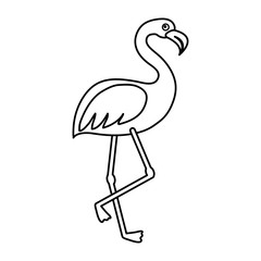 flamingo bird icon over white background. vector illustration