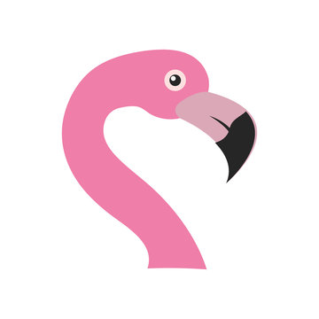 flamingo bird icon over white background. colorful design. vector illustration