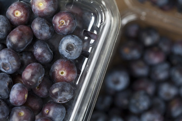 Macro of Blueberries at Farmer's Market