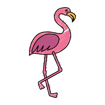 flamingo bird icon over white background. colorful design. vector illustration