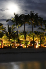 Obraz premium Island in ocean, Maldives. Night. .Moon above palm trees.