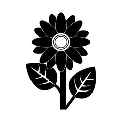 beautiful flower icon over white background. vector illustration