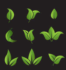 Vector - Set of green leafs icons elements