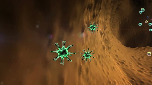 antibodies attack the coronavirus, virus cell and Lymphocytes, T-lymphocytes attack a migrating viruses, virus attacked by lymphocytes, Macrophage attack of the viruses