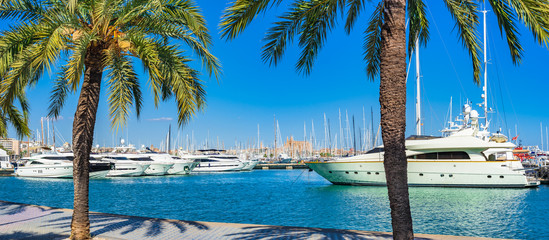 Mittelmeer Küste Hafen Yachthafen von Palma de Mallorca Spanien Balearen