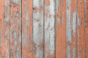 Real Old Wood Texture of Old Fence With Nails in It