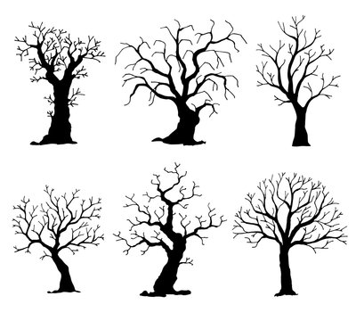 Collection of trees silhouettes. Vector tree isolated on white background