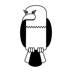 american eagle isolated icon vector illustration design