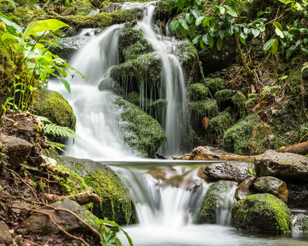 Hamama Falls Stream