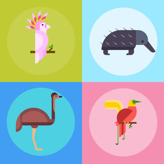 Australia wild animals cartoon popular nature characters flat style and australian mammal aussie native forest collection vector illustration.