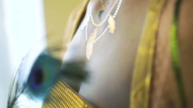 Look of the girl with peahen's bodyart with feathers in hands in 4K