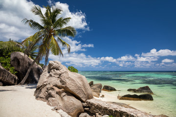 Paradise beach on tropical island