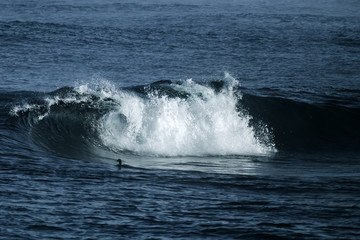 Big stormy ocean wave. Blue water background