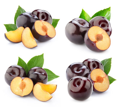 Plum collection isolated