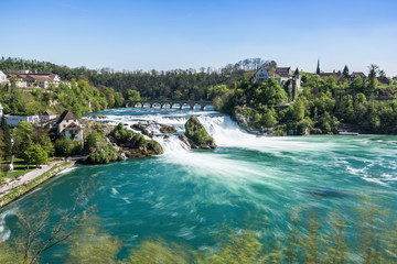 Fototapeta premium Rhine Falls