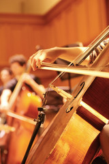 Musician plays the cello. Rehearsal Symphony orchestra.