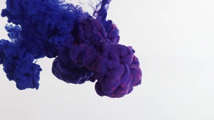 Clouds of purple and pink ink plume downward in clear liquid over white. - Powered by Adobe