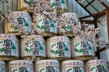 Sake barrels in Japan by a brewery