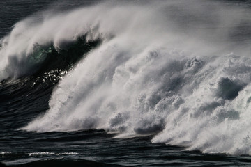 Fototapeta premium Pacific Waves 3356