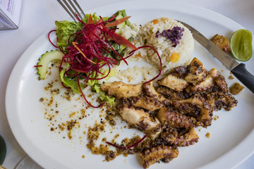 Delicious traditional fry Sepiidae