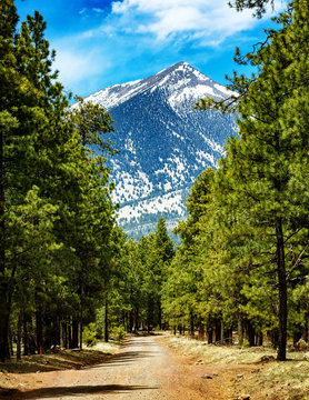 Flagstaff Arizona Road To Mountains