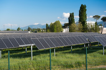 Solar panels multitude on green field