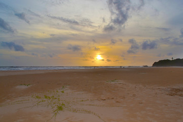 Sunset on the tropical sandy beach. Romantic time. Indian ocean. Sri Lanka.