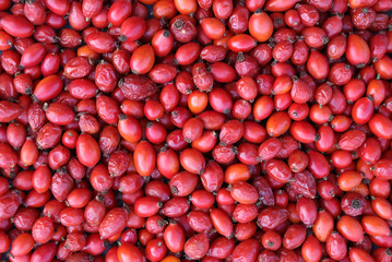 Dogrose fruits organic food background