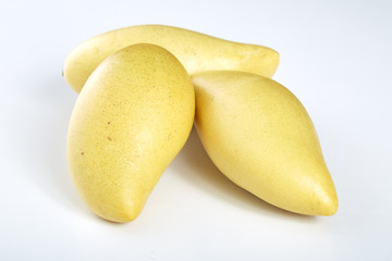 Yellow mango  on a white  background