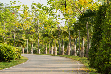 Running track at the park