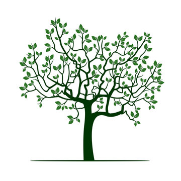 Natural Green Tree with Leafs. Vector Illustration.