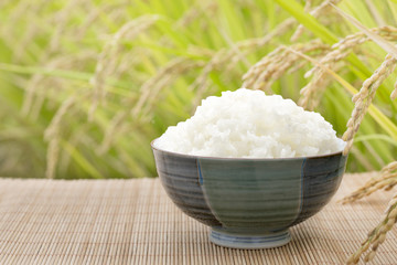 新米ごはん