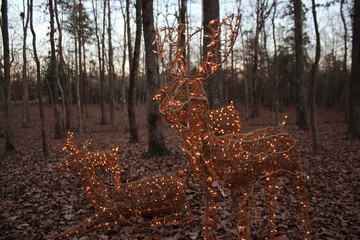 Christmas Deer