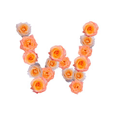 The letter W, in the Alphabet bloom roses illustration set old rose pink color isolated on white background, vector eps10