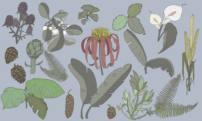 Floral Vector Pattern Design Illustration