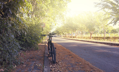 Fototapeta na wymiar bicycle on road in the park