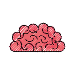 Human brain symbol icon vector illustration graphic design