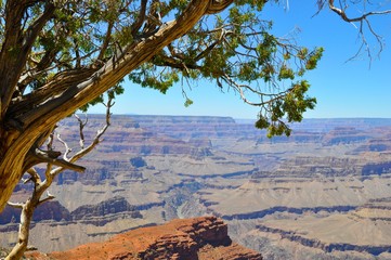 Grand Canyon 22