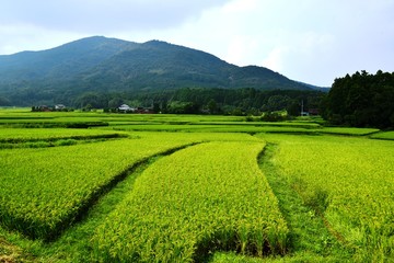 田染荘