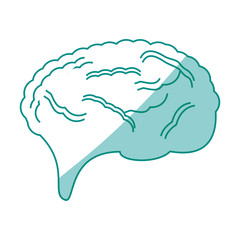 Human brain symbol icon vector illustration graphic design