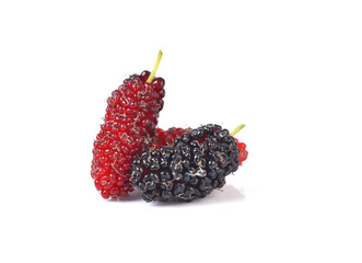 mulberry berry on a white background