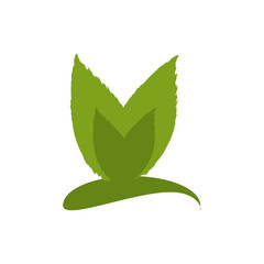 Leaves natural ecology icon vector illustration graphic design