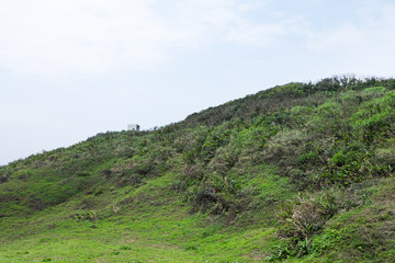 Fototapeta premium View of top of the mountain