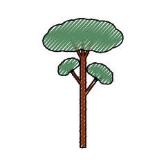 Fototapeta premium Tree natural ecology icon vector illustration graphic design