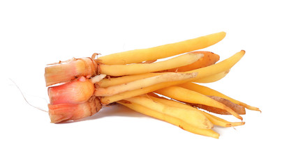 The Kaempferia herb on white background