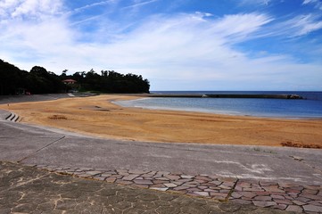長崎鼻のヒマワリ