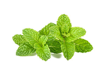 Fresh raw mint leaves isolated on white background