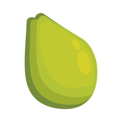 Avocado fresh vegetable icon vector illustration graphic design