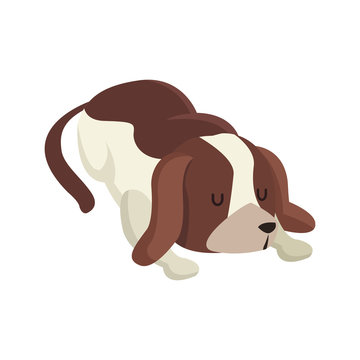 dog pet animal sleeping image vector illustration